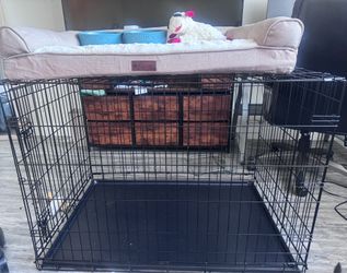 Dog supplies Brand New