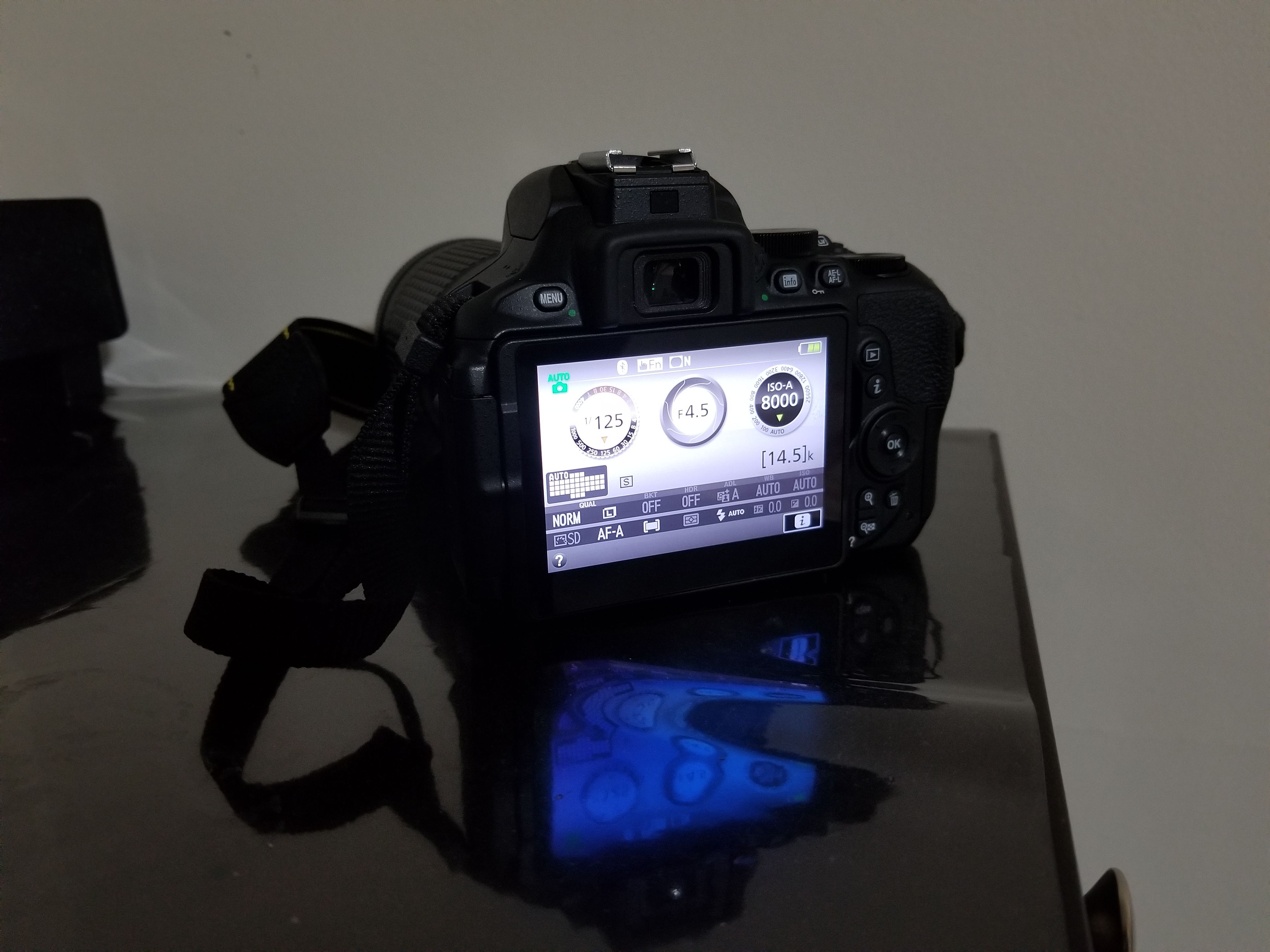 NIKON DX D5600 DSLR