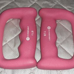 1 Pound Hand Weights