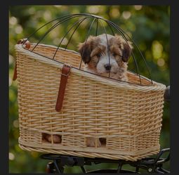 Geetery Wicker Dog Bike Basket with Protective Grille Liner Natural Wicker Doggy Basket for Cats Dogs Pets for Secure Bicycle Rear Luggage Rack