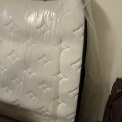 Brand New Mattress