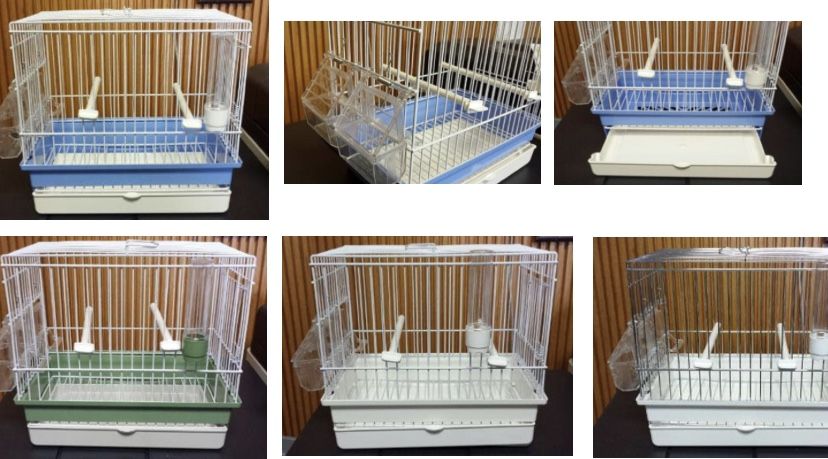 Song Birds Cages