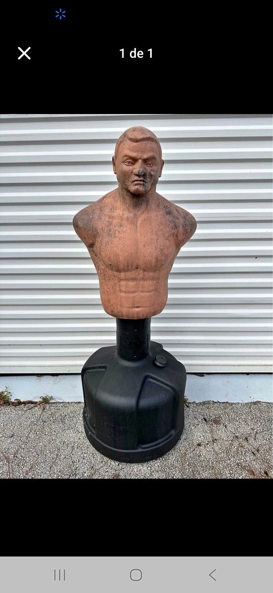 Bob Training UfC Boxing and More