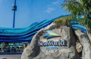 Sea world entry tickets!!