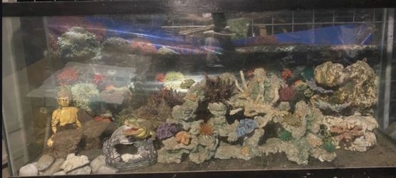 2/55 gal tank with 1-metal  !