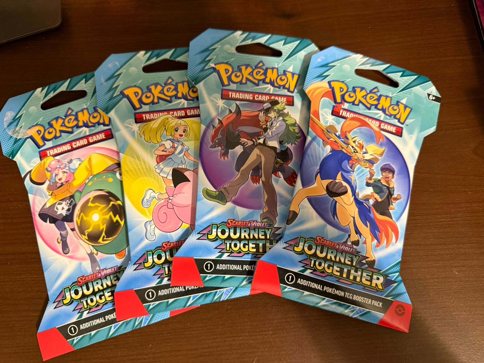 Pokémon Journey Together