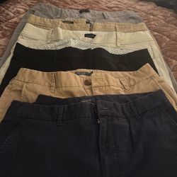 Women Short and regular  Pant  