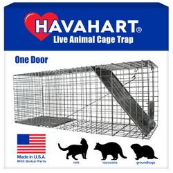 Havahart 1079SR Large Live Animal Trap 32" Humane Cage Cat Raccoon New