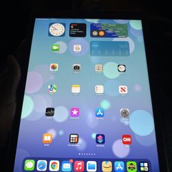 Apple iPad Pro (128GB, Wi-Fi, Black ) 12.9in Tablet