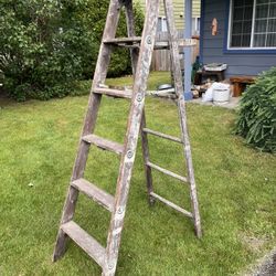 Old Step Ladder 