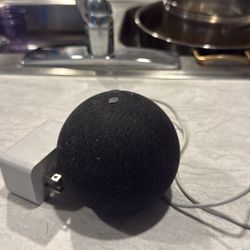 Alexa Echo 4th Generation 