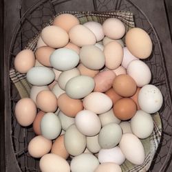 ORGANIC FRESH EGGS DAILY 