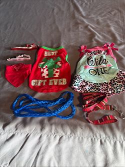 Lot of 7 Pcs Small Female Dog Clothes, Collars, Leashes