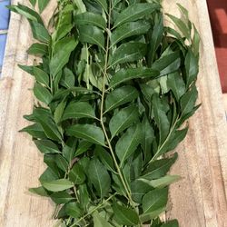 20 Stems Fresh And Organic Curry Leaf Stems With Over 300 Leaves