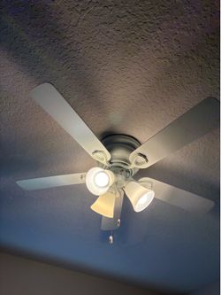 Ceiling fan