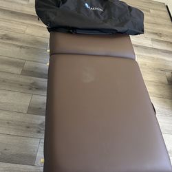 Earthlite Alumnus Massage Table With Carry Case Great Condition 