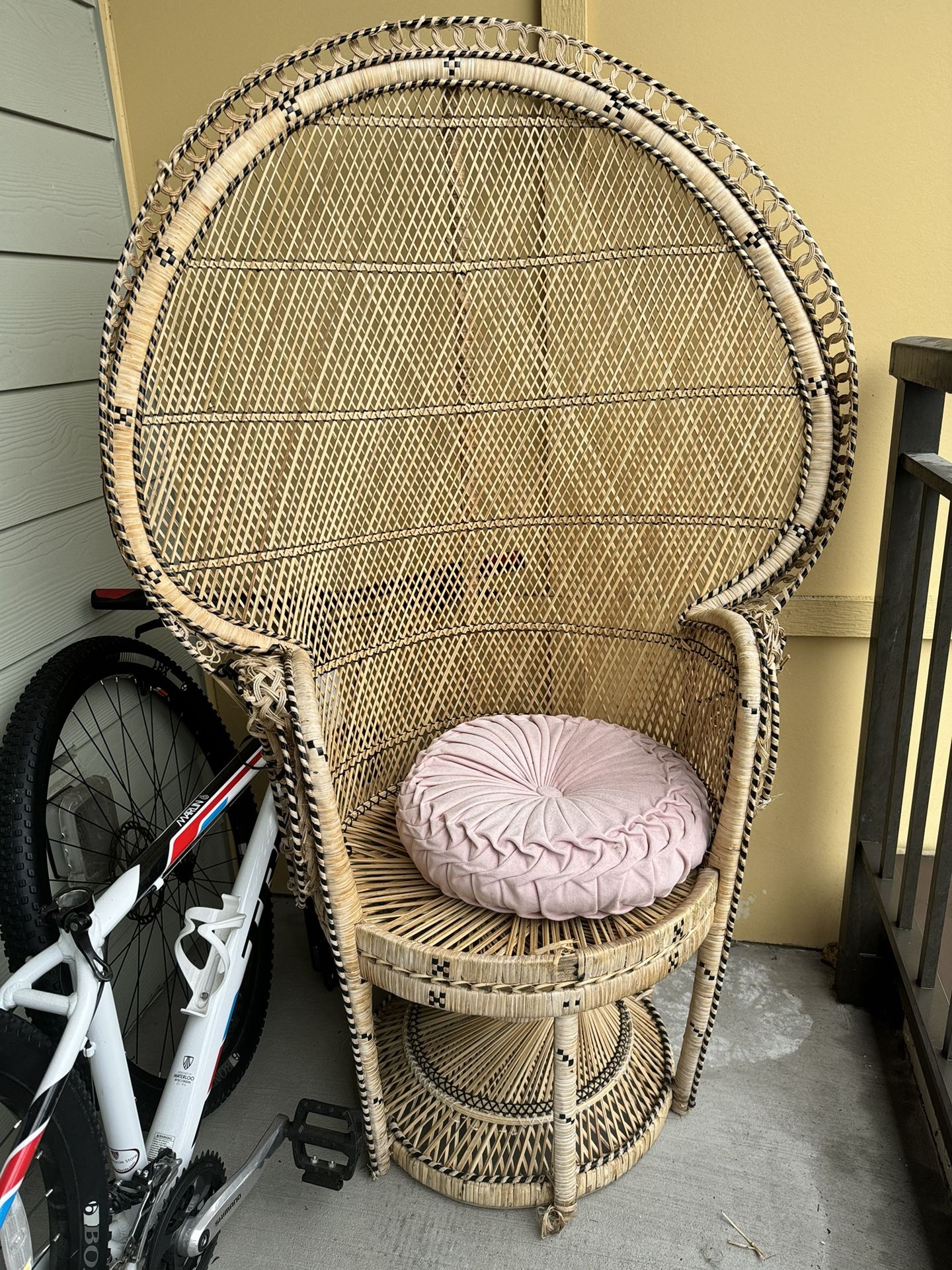 Peacock Wicker Chair