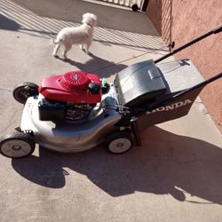 Honda Lawn Mower Honda Engen HRR 216 