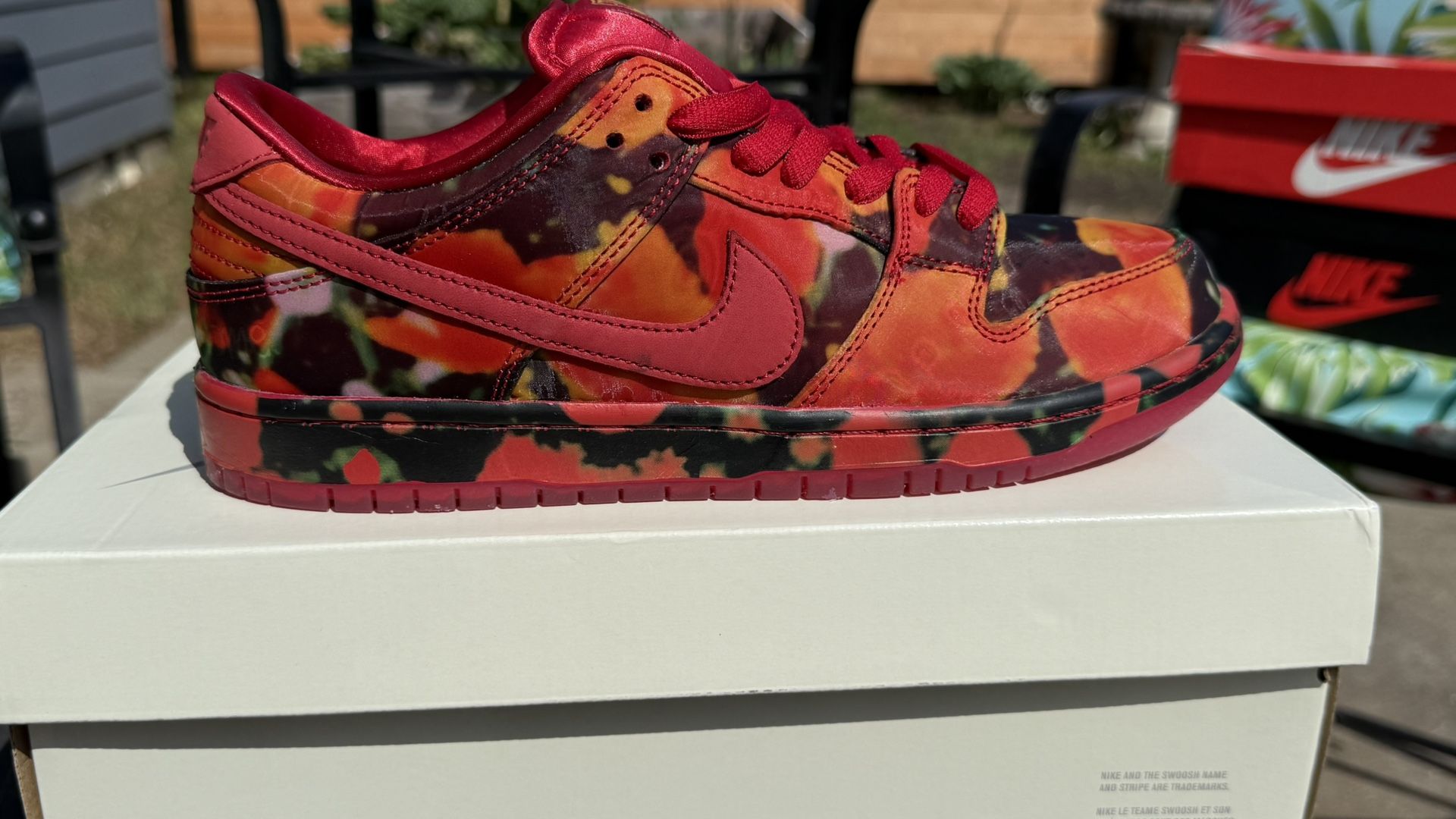 NIKE SB DUNK LOW WIZARD OF OZ - SZ 9