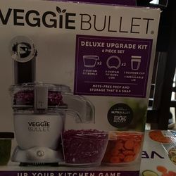 Veggie bullet outlet parts