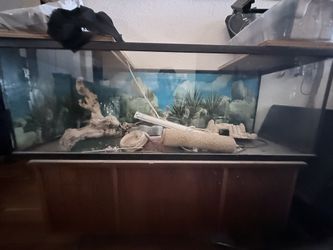 Aquarium