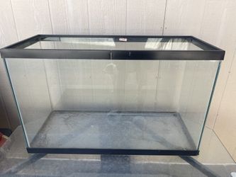 Fish Tank