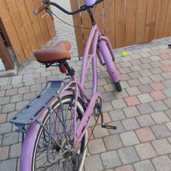 Usted Purple  Bike