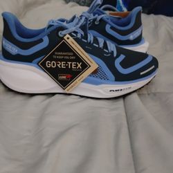 Air Zoom 5.5