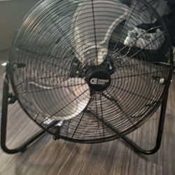 Fan