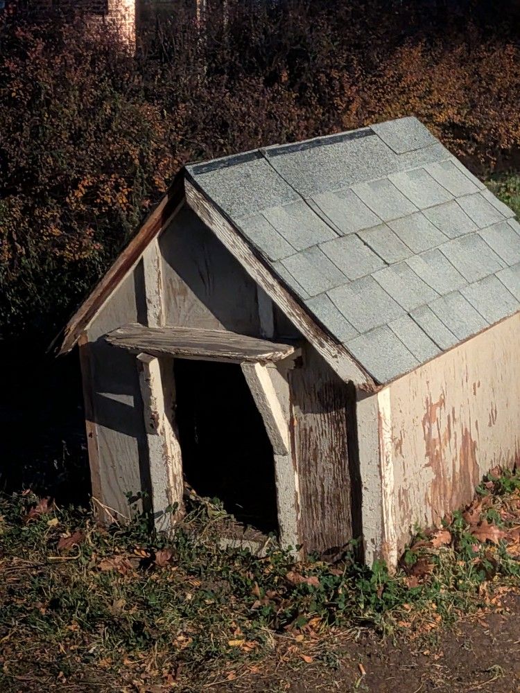 Free Dog House
