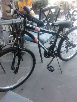 Roadmaster youth bike