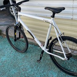 Big Man's Mountain Bike Single speed 