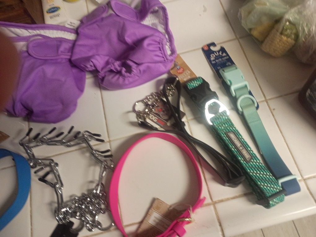 Dog Collars 