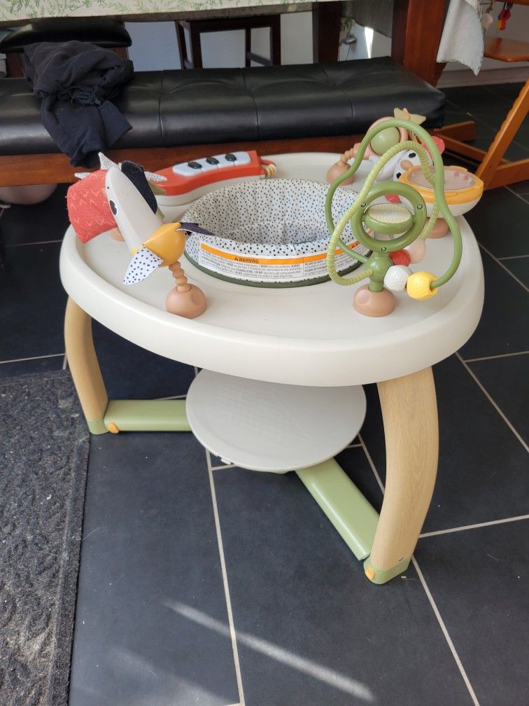 Tiny Love Activity Center