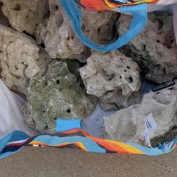Coral Rocks 