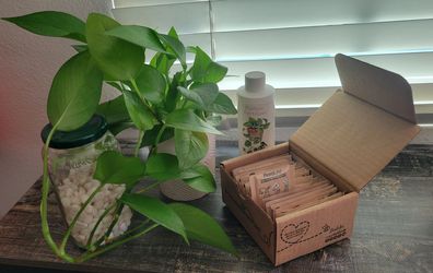 Pothos and plant care stuff