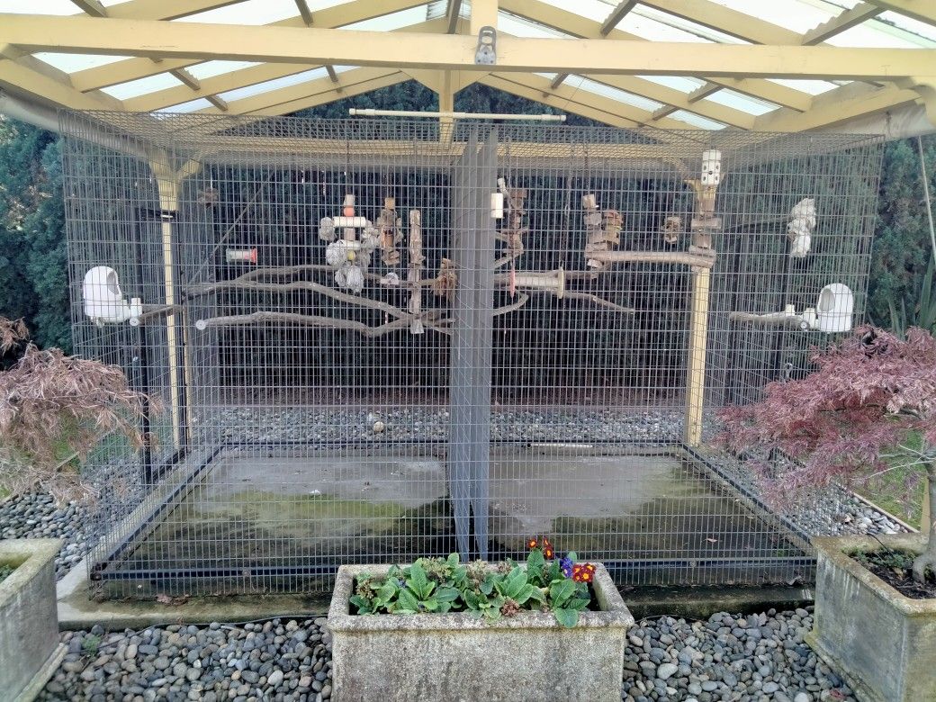 Large Bird Aviary/Outdoor Play Space