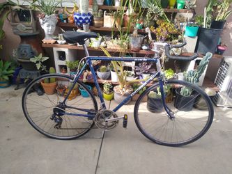 Roadbike Single Speed $50.00