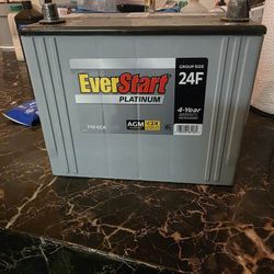 EVERSTART PLATINUM 