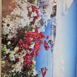 Santorini Greece Bougainvillea Floral Coastal Wall Decor