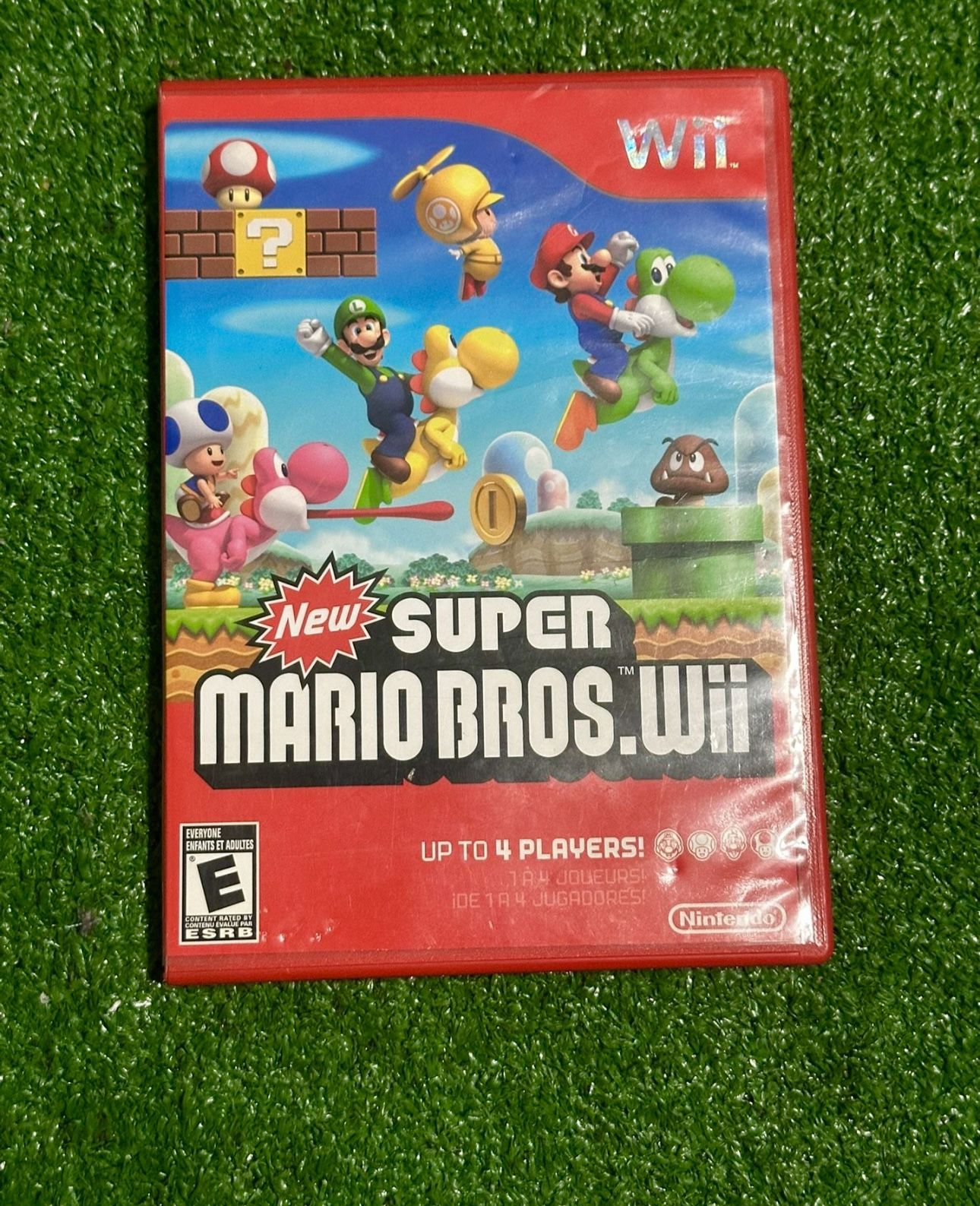 Super Mario Bros Wii