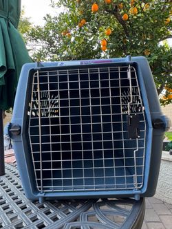 Small Dog Carrier