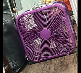 Fan