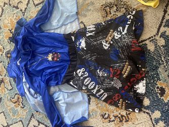 Descendants Movie Costume - Evie