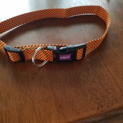 Large Dog Collar