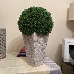 Fake Hedge Plant + Squared Pot
