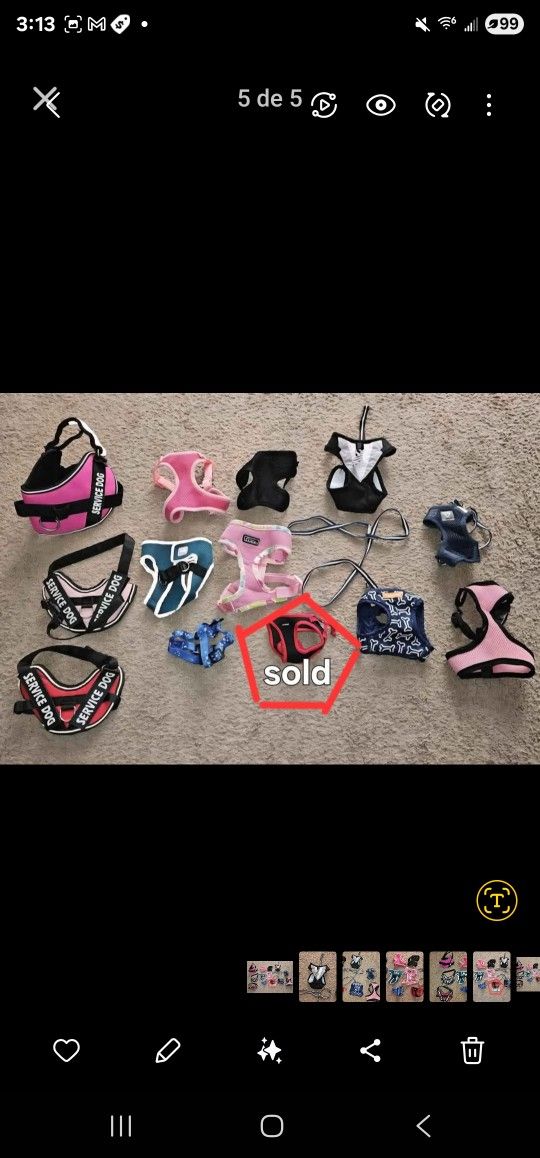Pet Harness Size XS,S,M SERVICE DOG