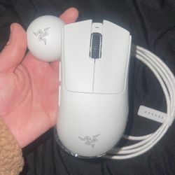 Razer Deathadder V4 Pro 