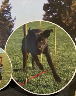 DOG AGILITY COURSE/EXERCISE COURSE, NEVER USED  Thumbnail