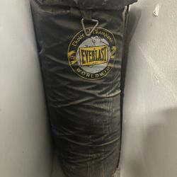 Everlast punching bag 70 Lbs. 